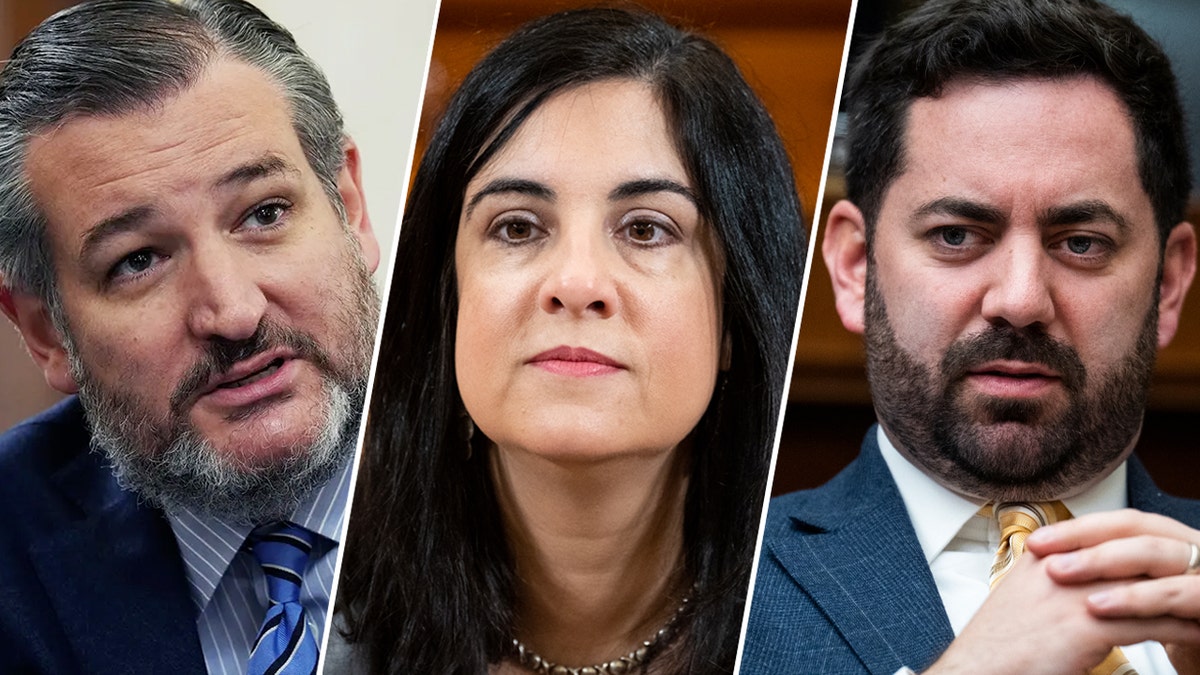 Senator Ted Cruz, Rep. Nicole Malliotakis, Rep. Mike Lawler