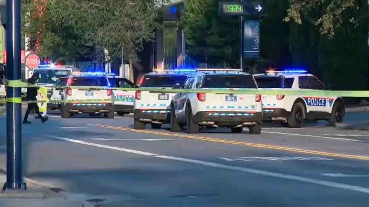 police cars on scene