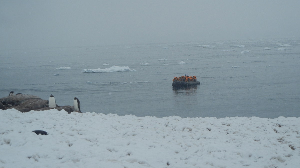 Tourists disembark