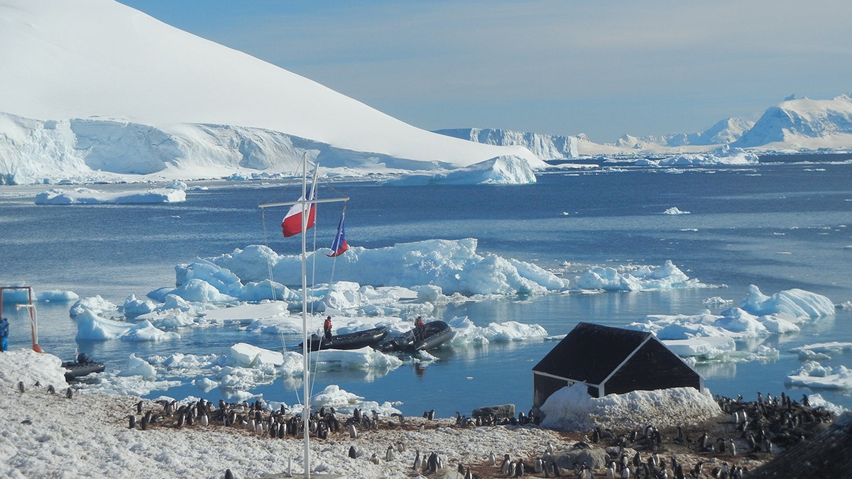 Antarctic Mainland