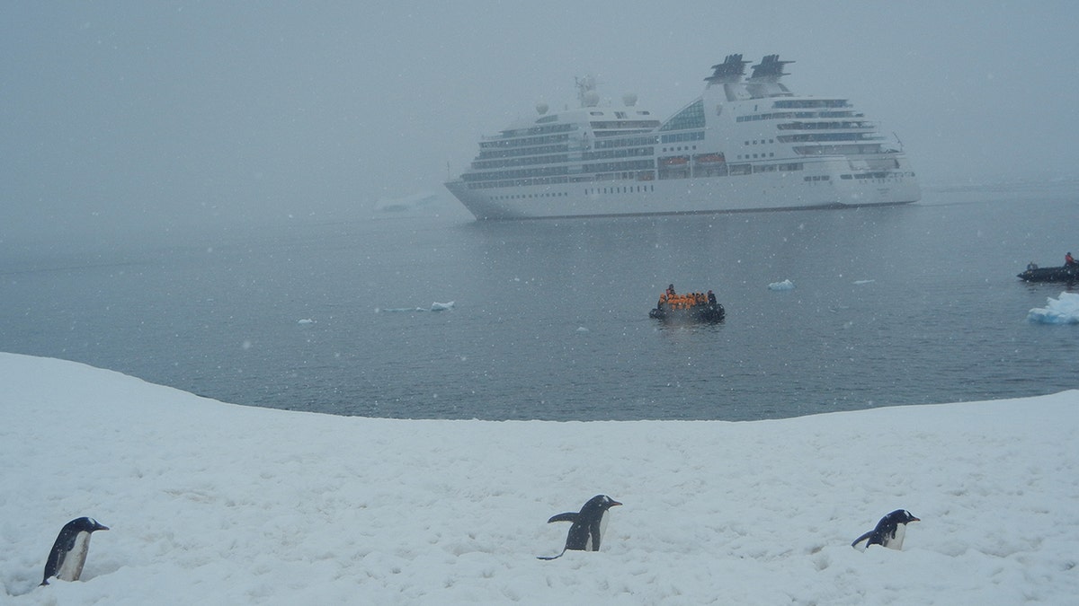 Boats in Antarctica