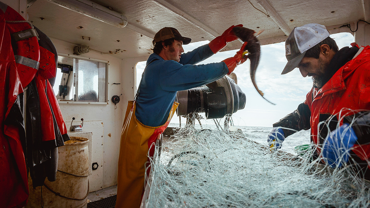 Fishermen at work on boat