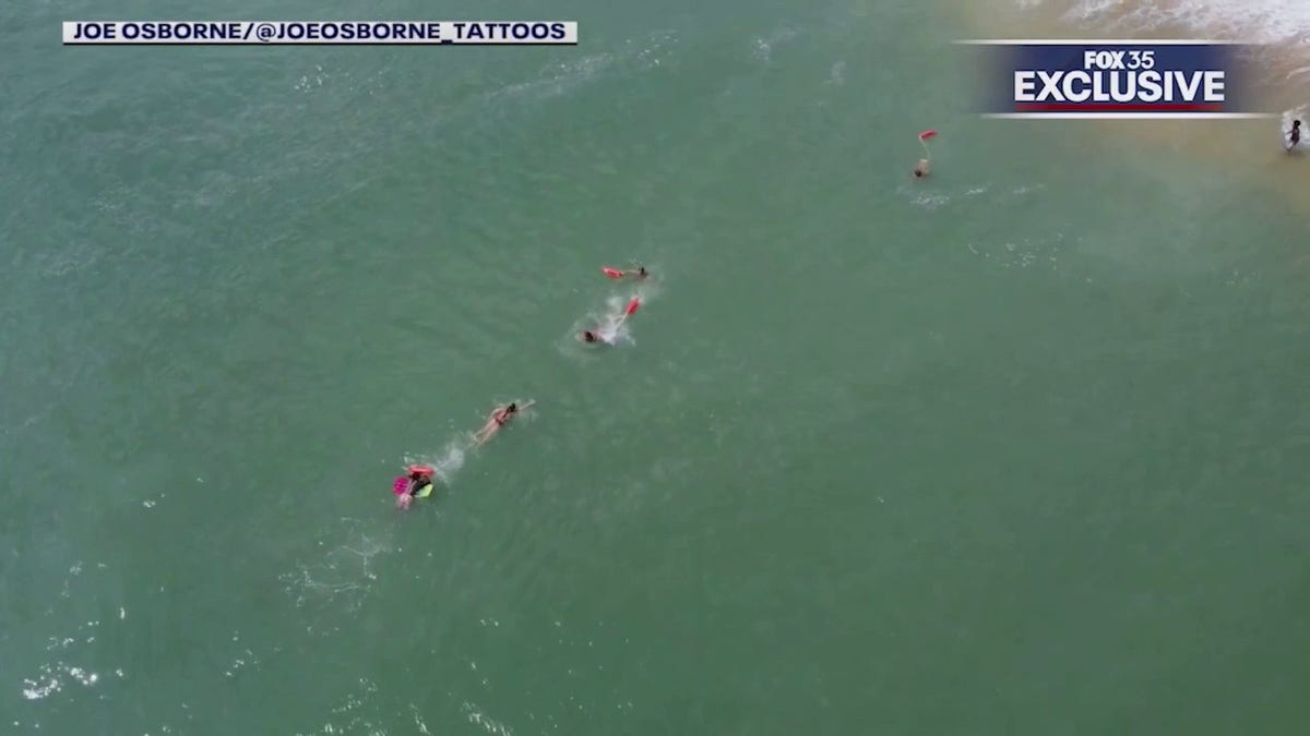 lifeguards swimming to boogie boarder