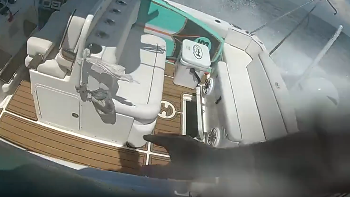 Florida deputy leaps onto runaway boat