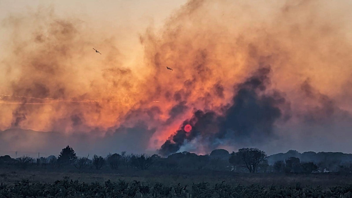 France Wildfire