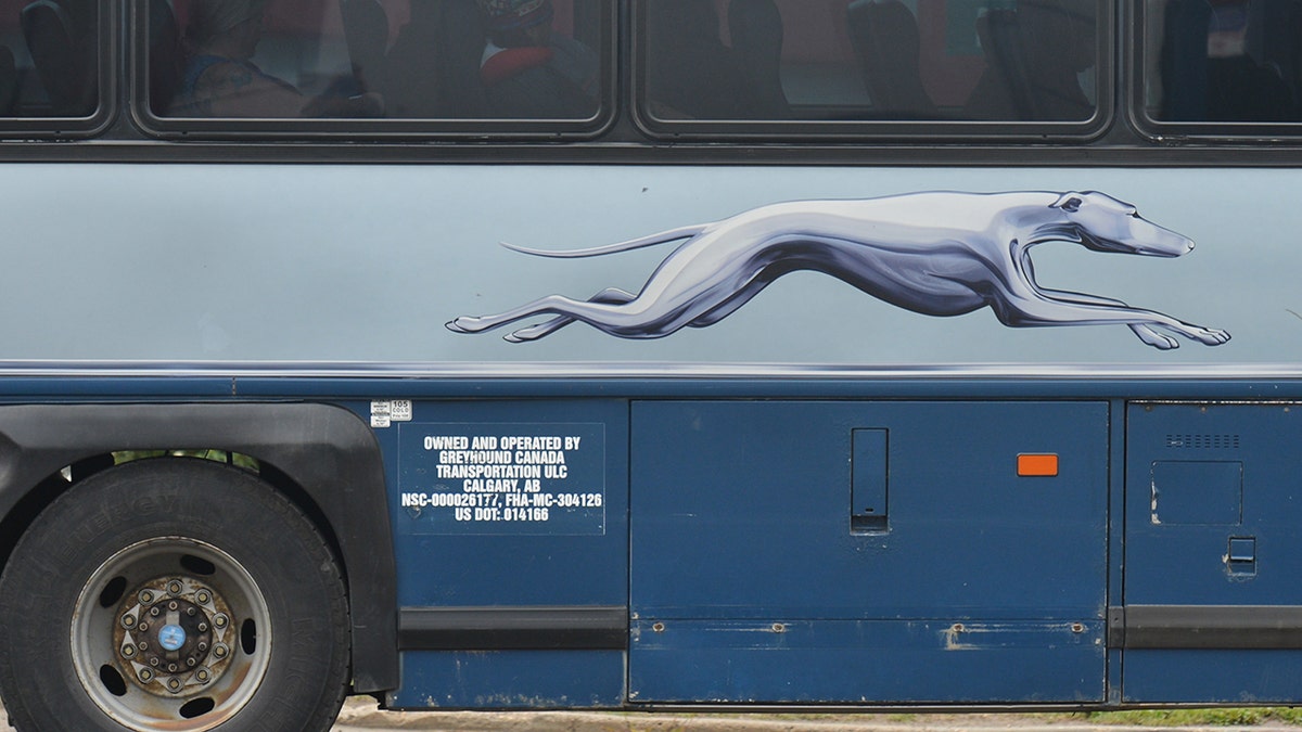 Greyhound bus