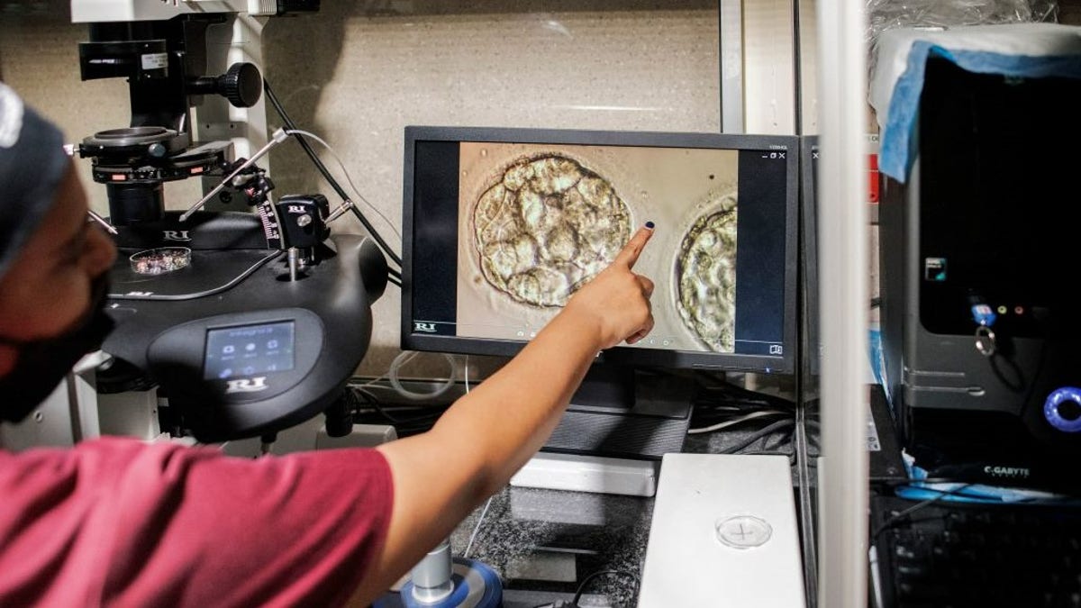 The manager of BioArt Fertility Clinics' lab prepares thawed blastocysts during an in-vitro fertilization process in Johannesburg Feb. 22, 2022.