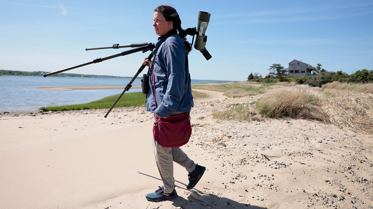 Lisa Schibley, bird watcher