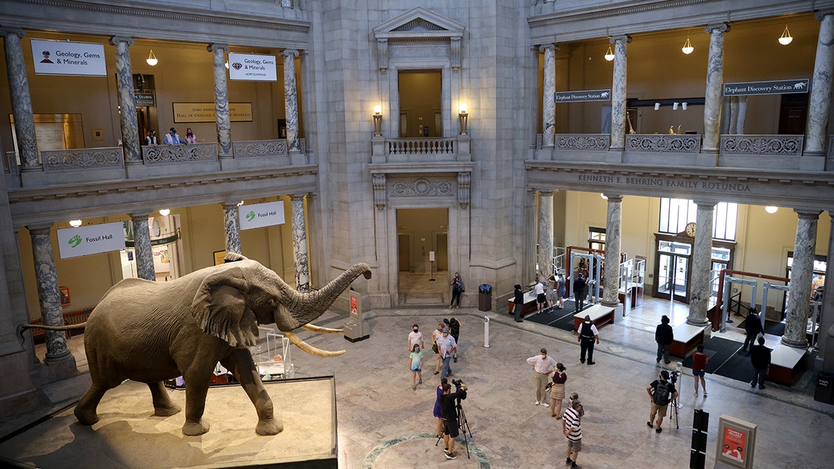 Museum Sejarah Alam Nasional Smithsonian