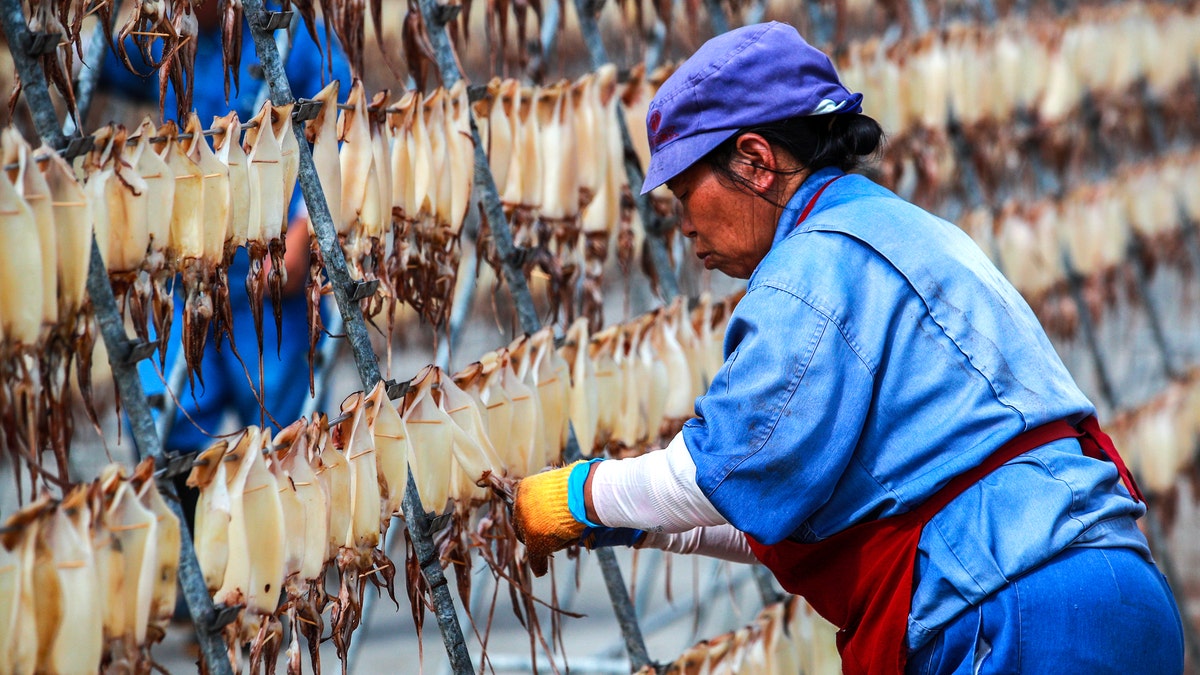 worker dries squid at food factory in China