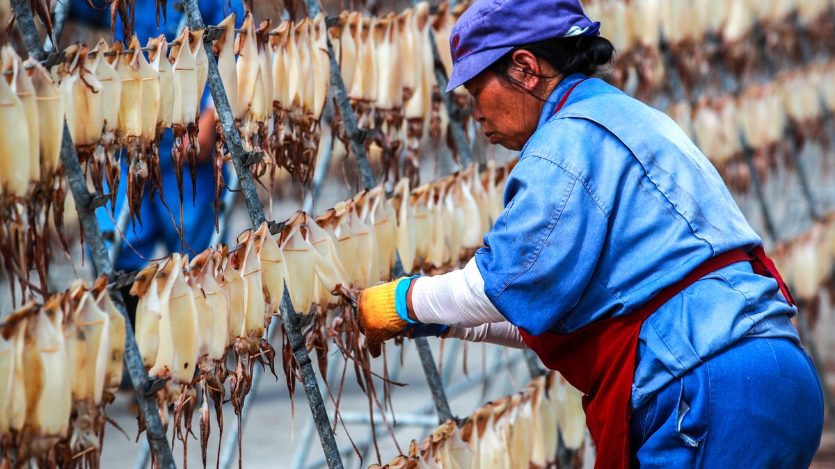 worker dries squid at food factory in China