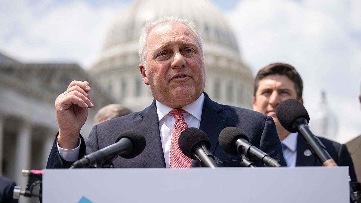 Scalise said the cancer was treatable and he would be back in Washington as he completes the treatment