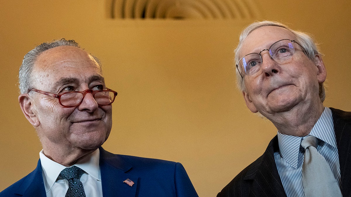 Schumer smirks at McConnell