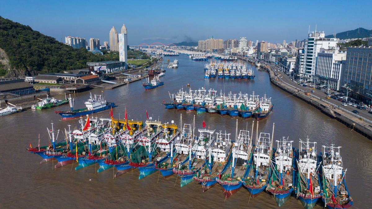 Fishing fleet chinese