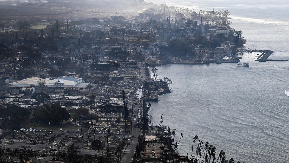 Hawaiian beach covered in ash