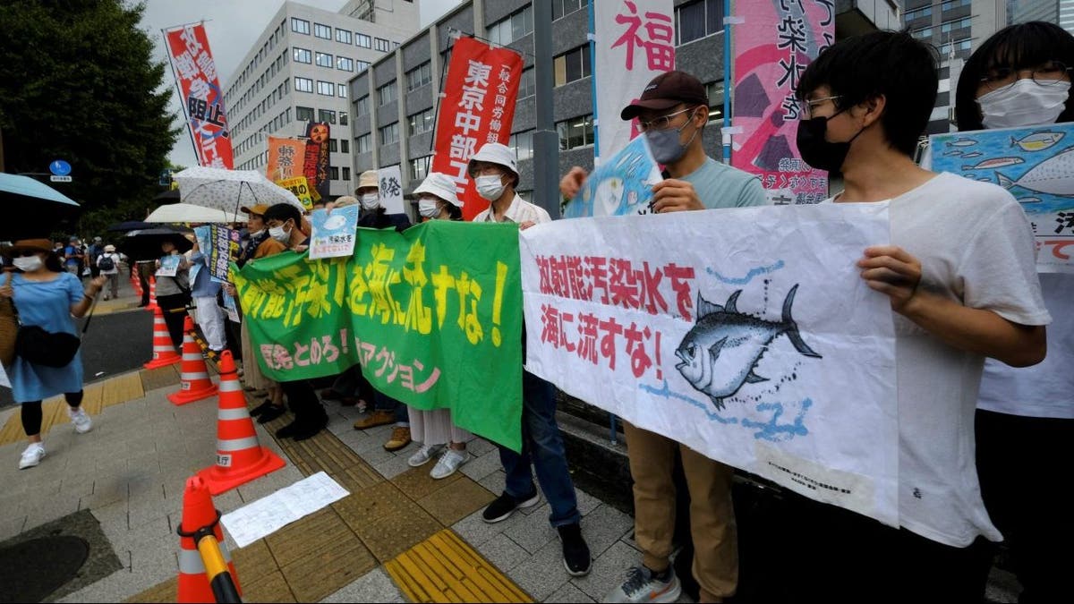 Japan Fukushima nuclear plant protest