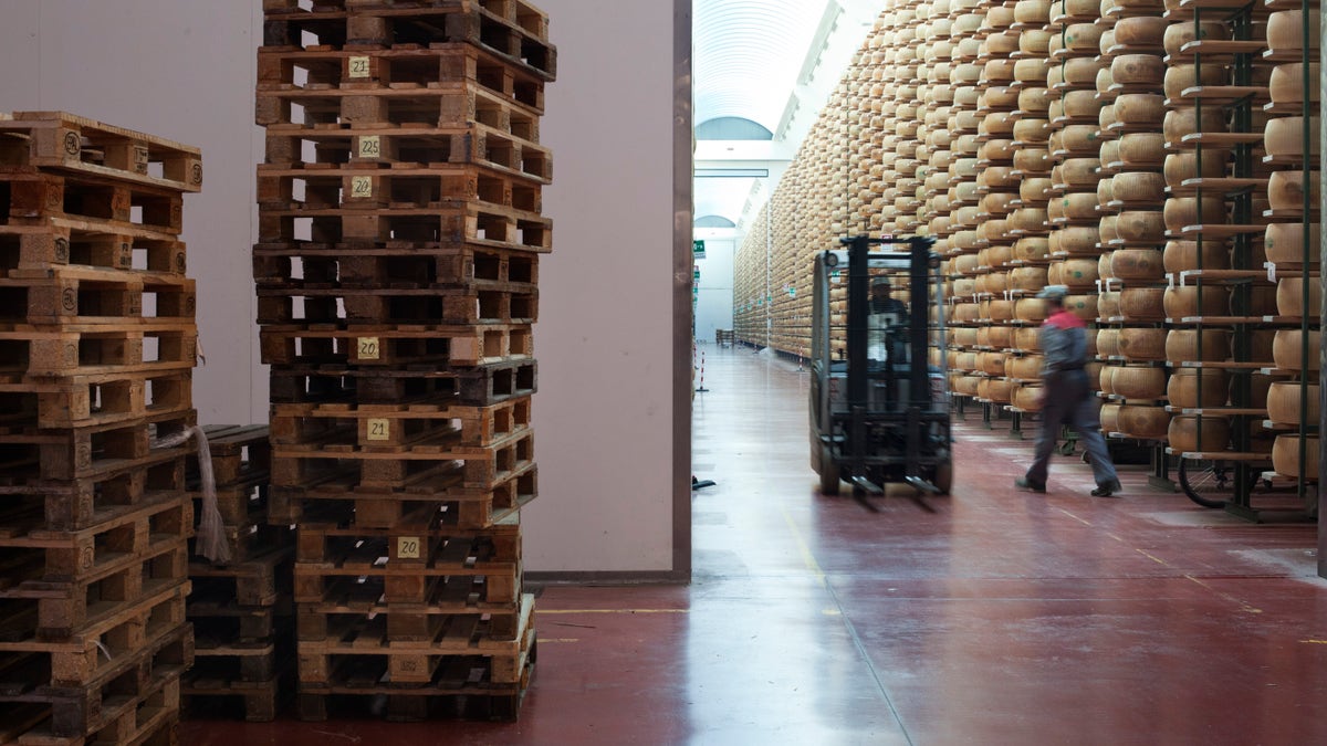 cheese stacked high on shelves in warehouse