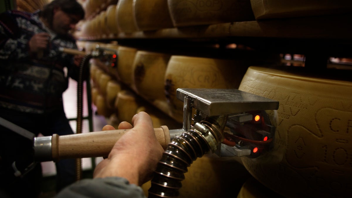 workers in cheese warehouse