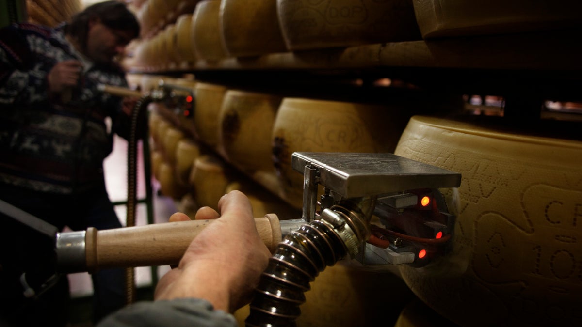 workers in cheese warehouse