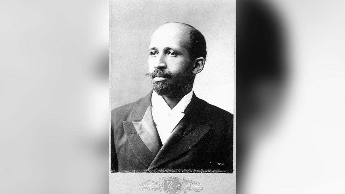 WEB Du Bois when he was younger