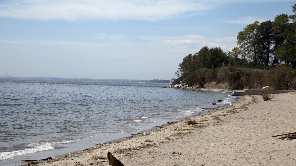 Long Island Sound shoreline in Connecticut.