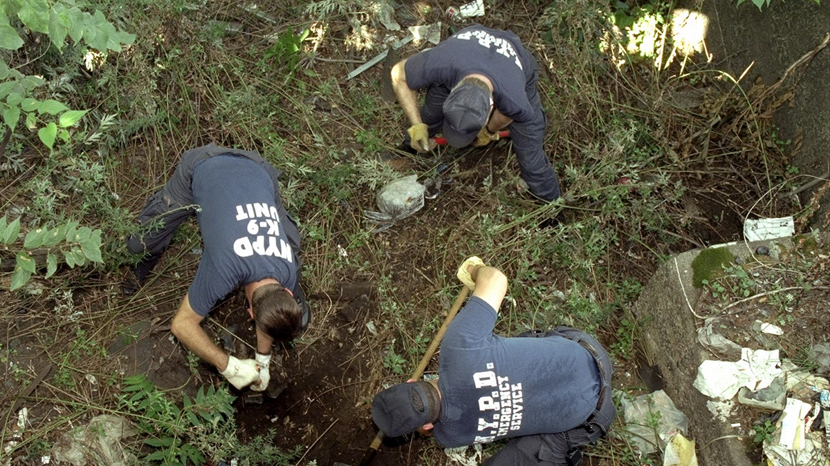 New York Police searching around bushes and trees