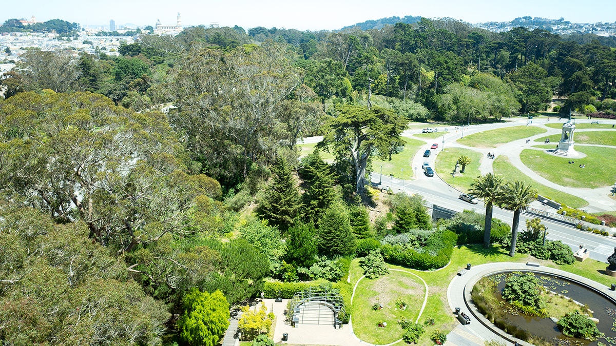 Golden Gate Park