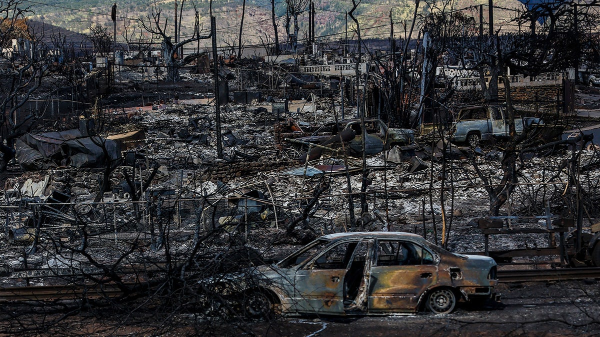 Charred remains in Maui