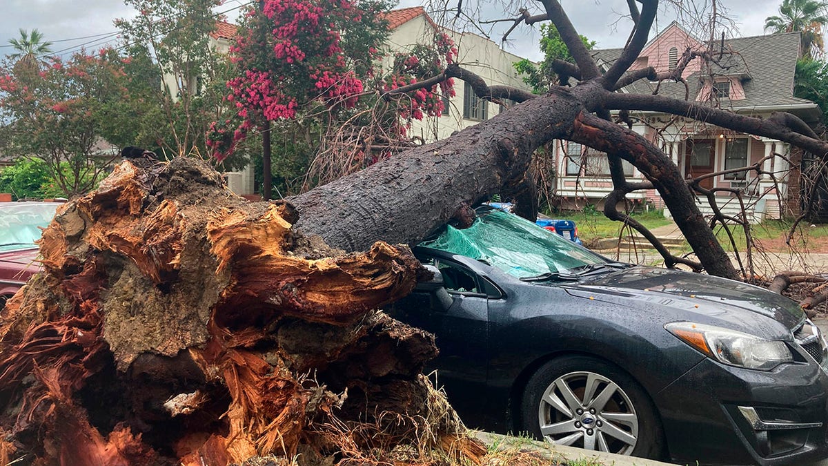 Tropical Storm Hilary damage in Los Angeles