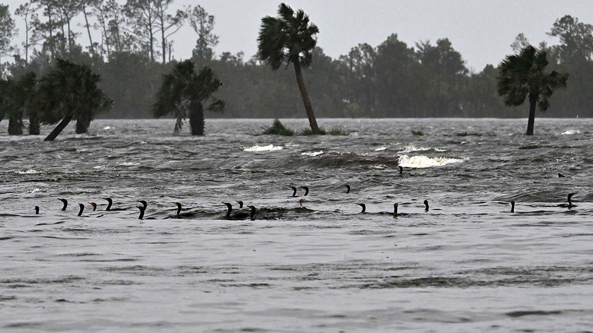 Hurricane-Idalia-Florida