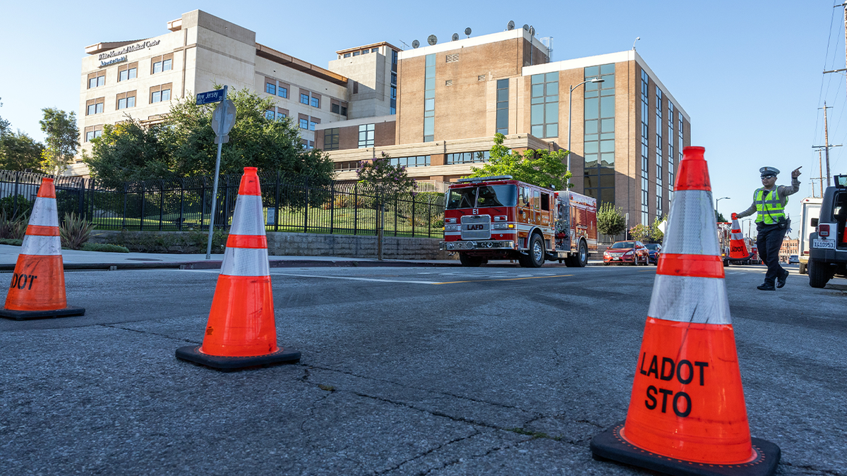 Orange cones