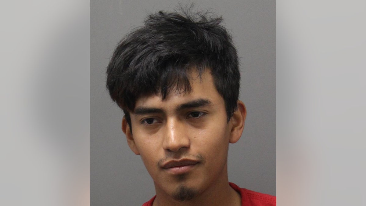Brandon Estrada De Leon has been charged with abduction, contributing to the delinquency of a minor and rape.