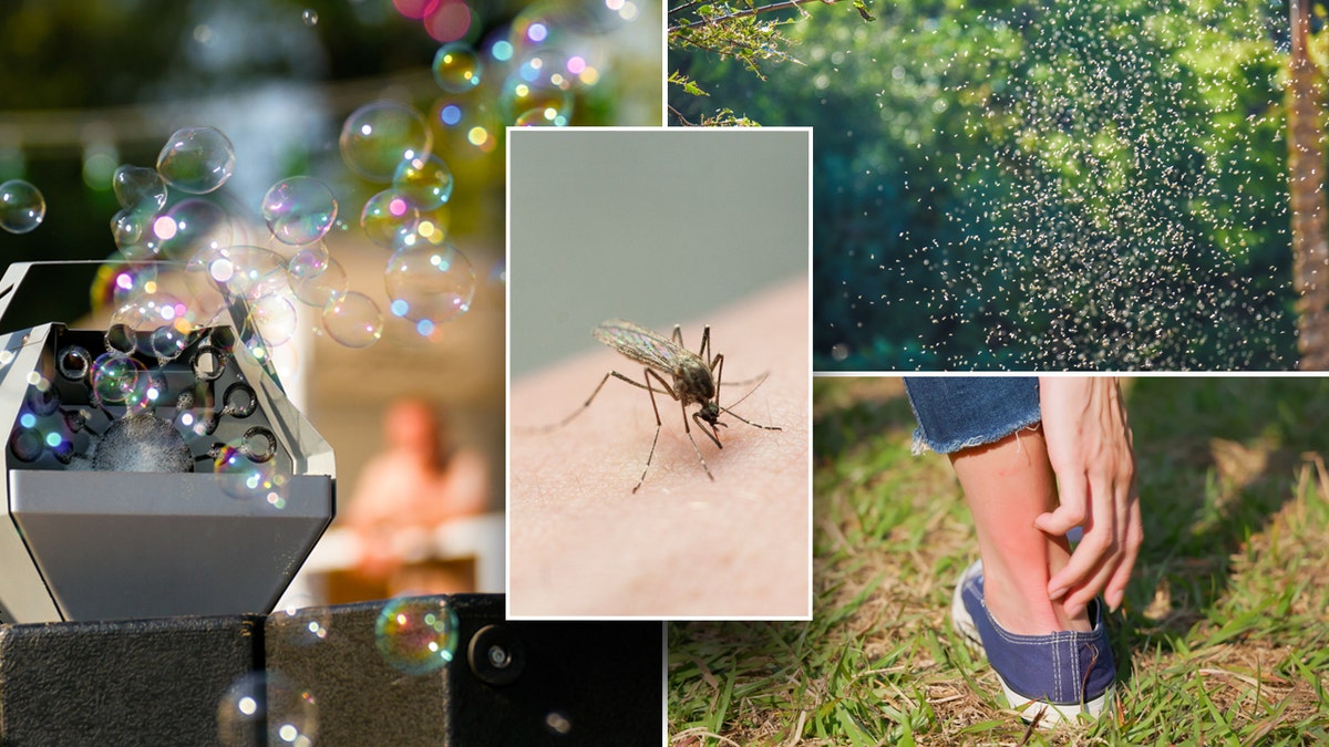 Left: Bubble machine in use. Middle: Mosquito on skin. Top right: Swarm of mosquitoes. Bottom right: Person scratches itchy ankle.