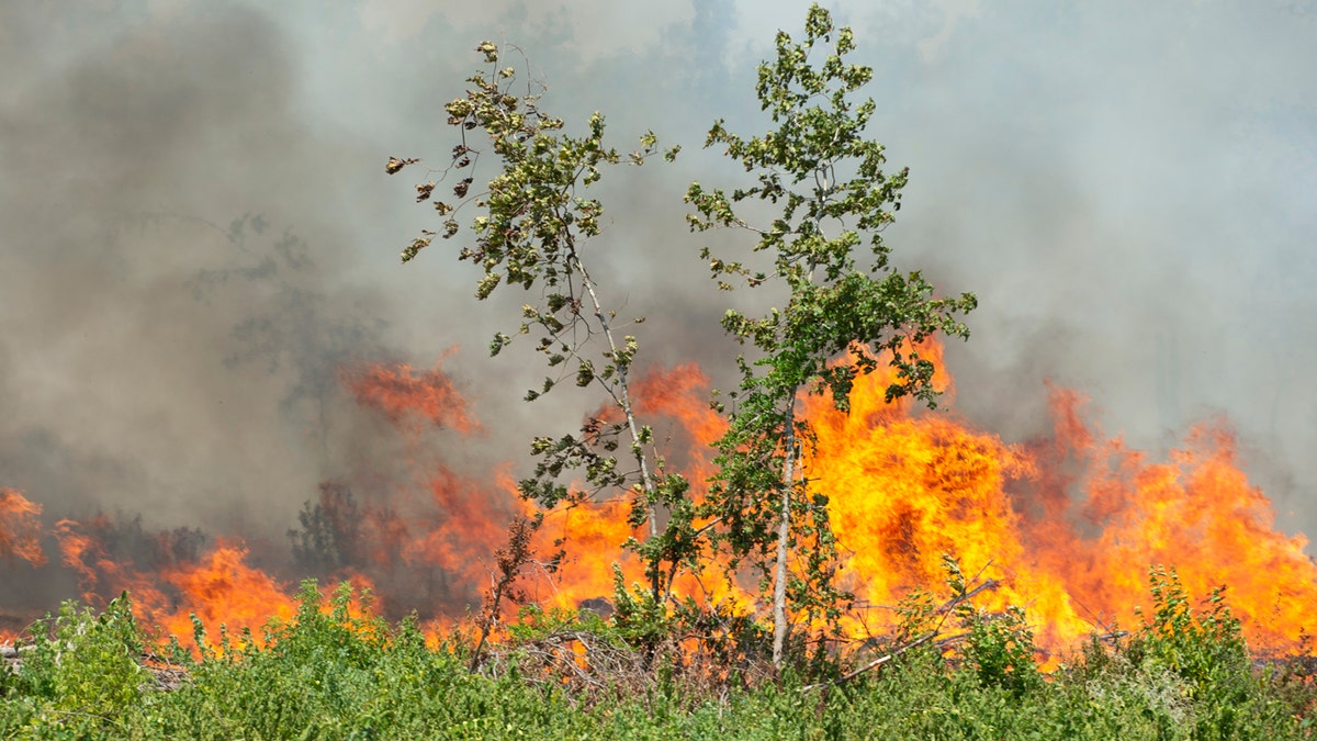 Louisiana fire
