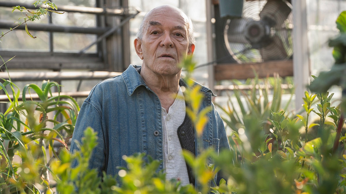 Mark Margolis in The Blacklist