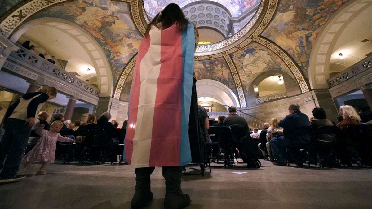 Transgender flag