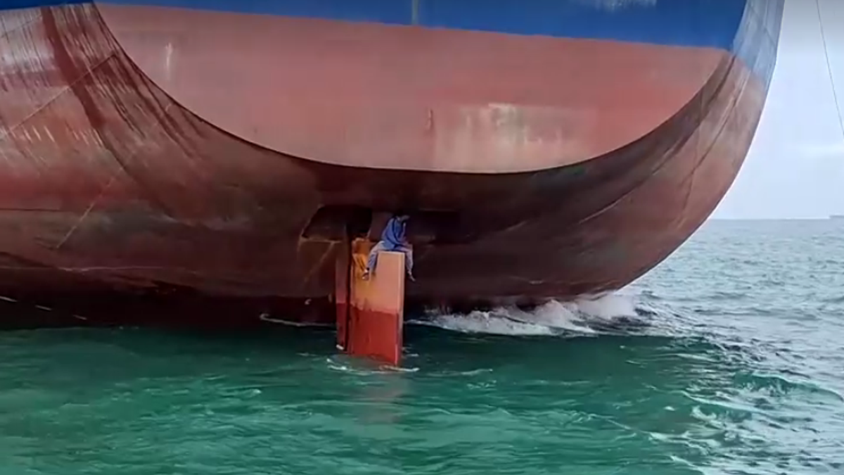 Stowaways on cargo ship that arrived in Brazil