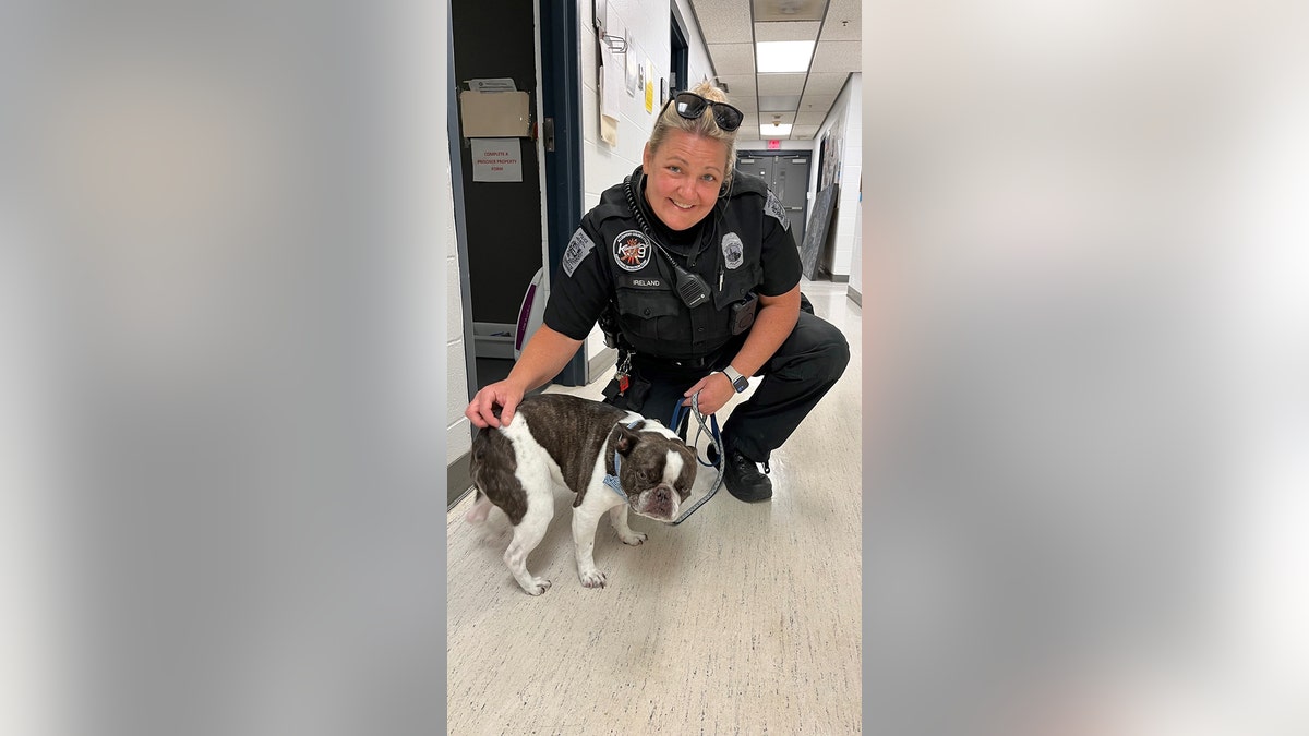 PA airport bulldog abandoned