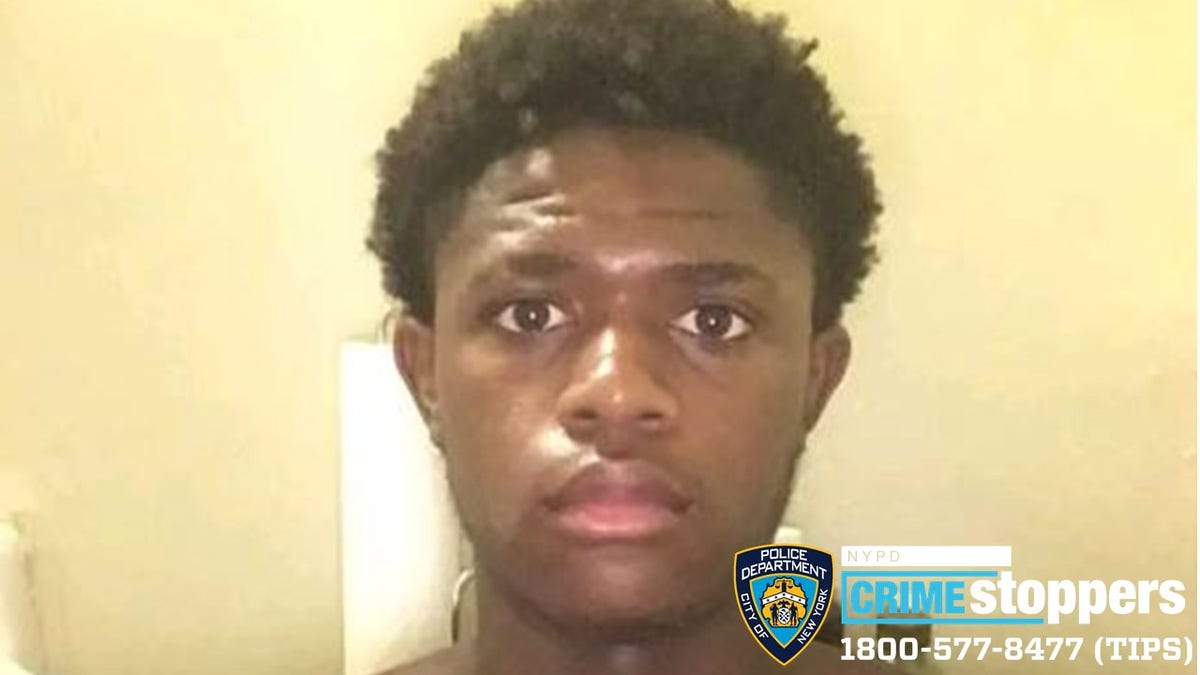 Bronx assault suspect photo