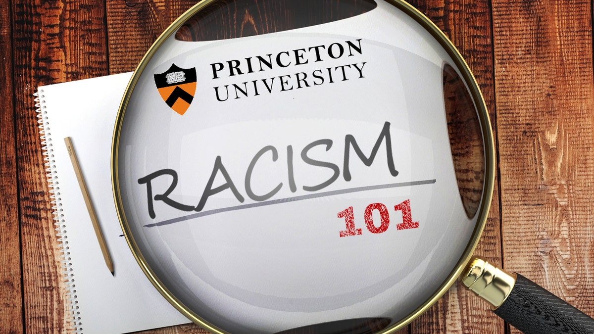 Systemic racism princeton