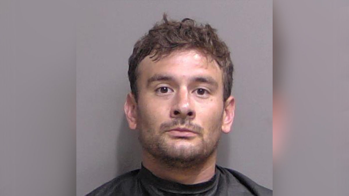 Peter Cicacci-Blackwell