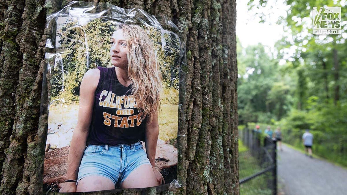 A photo of Rachel Morin is posted on a tree along a hiking route