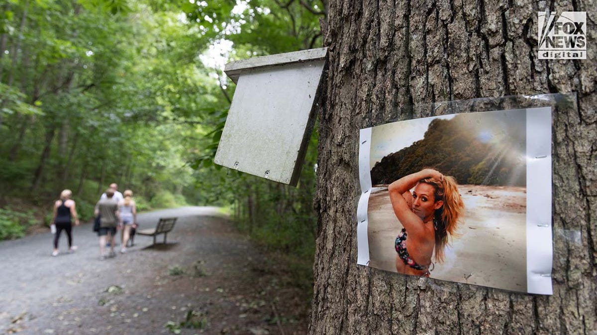 Rachel Morin's photo is posted on a tree along the hiking route