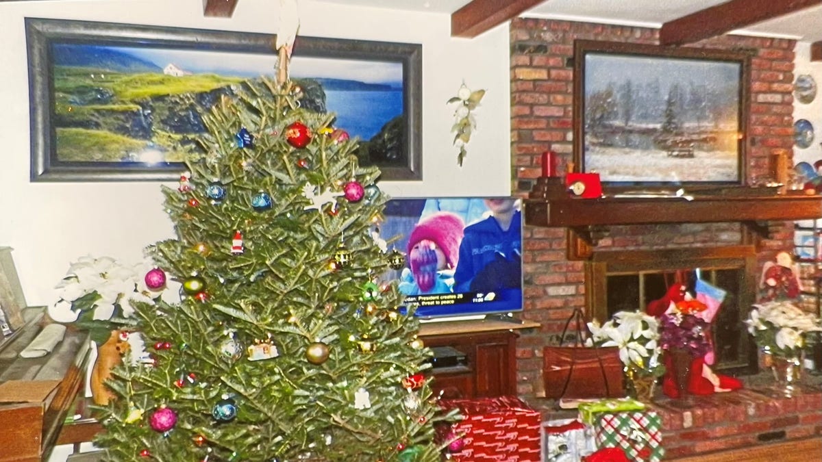 A christmas tree in Rex Heuermann's home 