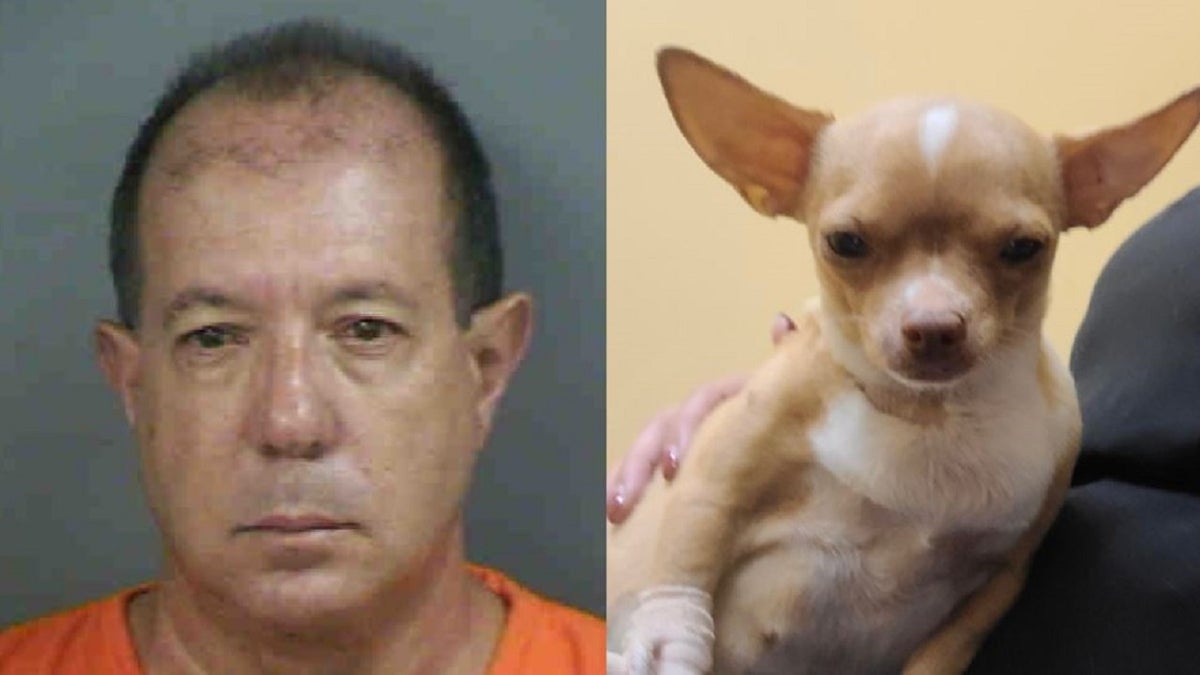 Florida fake veterinarian kills dog