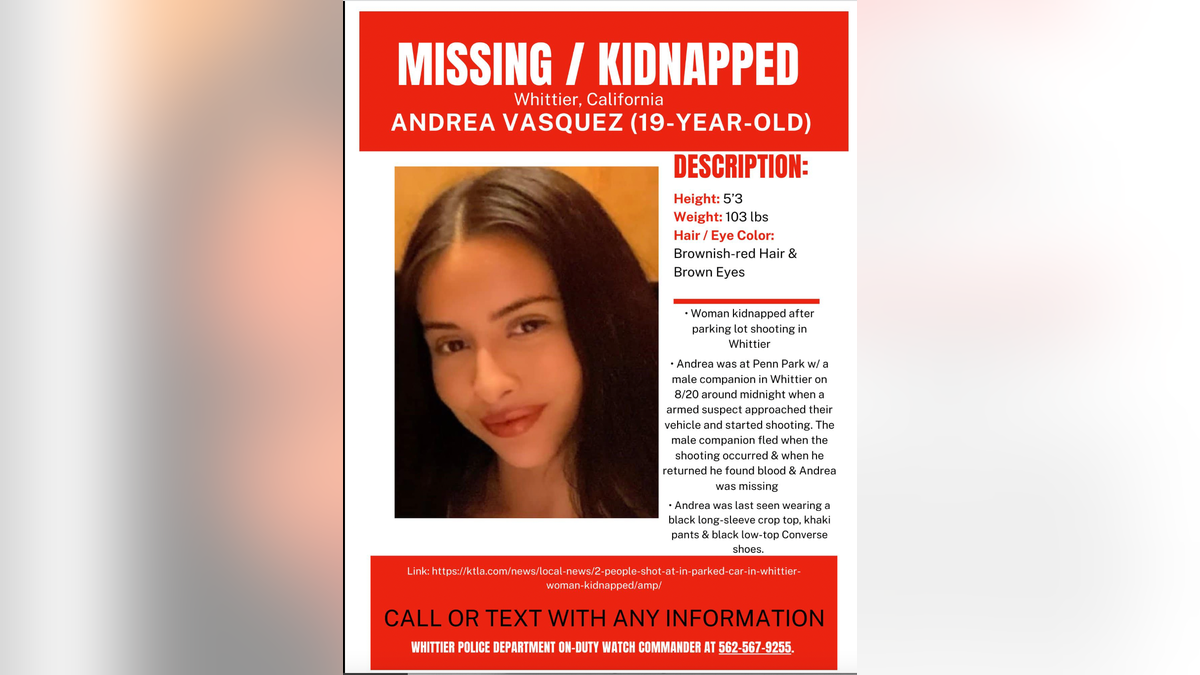Missing/kidnapped poster for Andrea Vasquez.