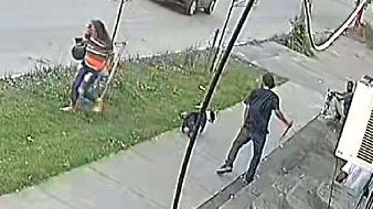 Syracuse New York dog stabbing incident