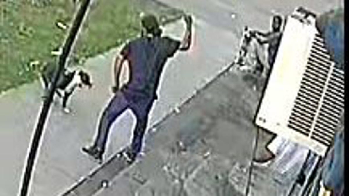 Dog attacked in upstate New York
