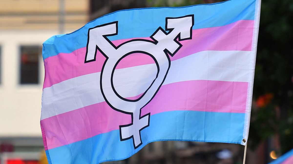 Drapeau transgenre avec symboles de genre
