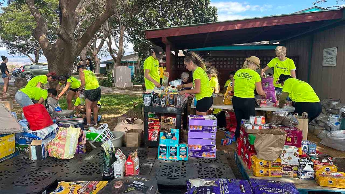 people volunteering at Maui Humane Society